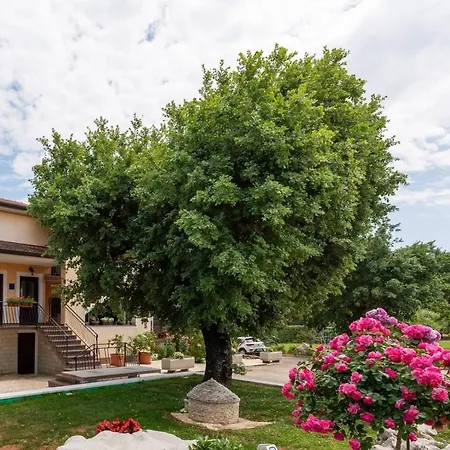Apartman Luma *